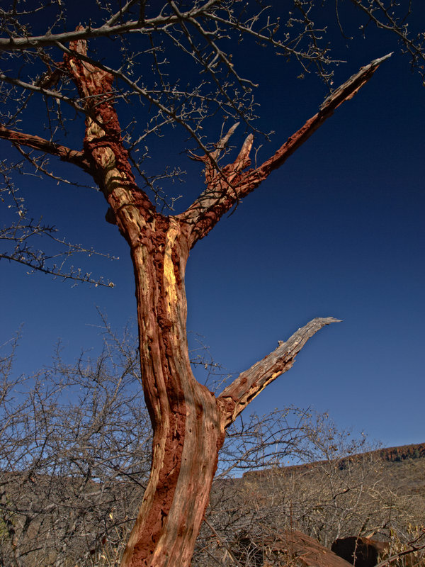Waterberg